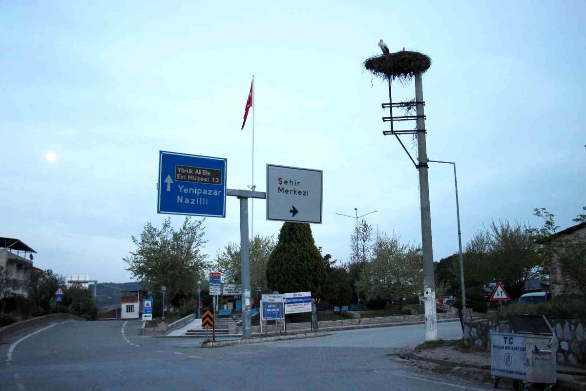 Baharın müjdecisi leylekler Aydın\'ı mesken tutuyor