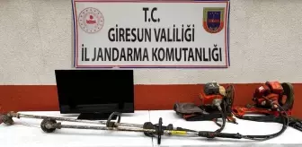 Giresun'da hırsızlık vakaları