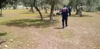 İzmir'de Zeytinlik Arazide Aç ve Susuz Kalan 94 Göçmen Kurtarıldı