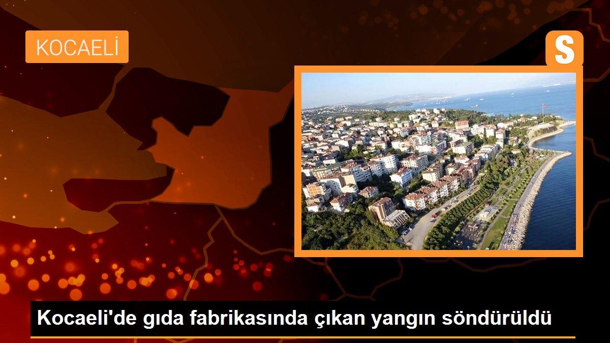 Kocaeli\'de gıda fabrikasında çıkan yangın söndürüldü