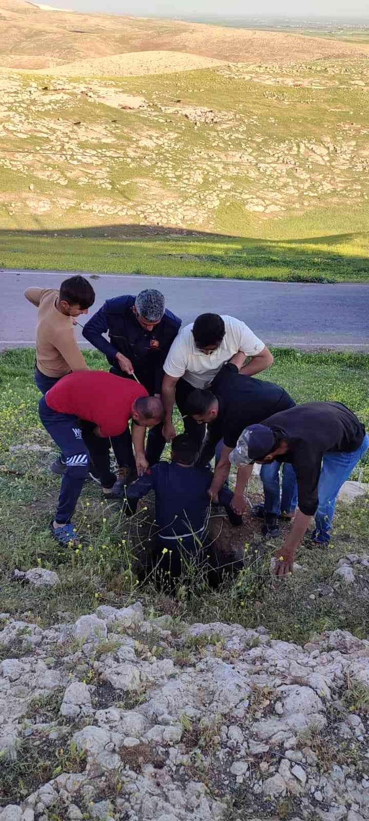 Mardin\'de kuyuya düşen inek itfaiye ekipleri tarafından kurtarıldı