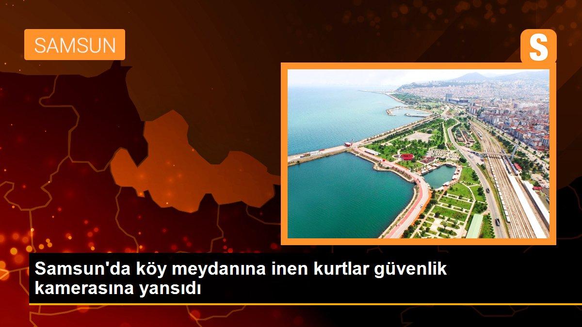 Köy meydanına inen kurtlar güvenlik kamerasına yansıdı