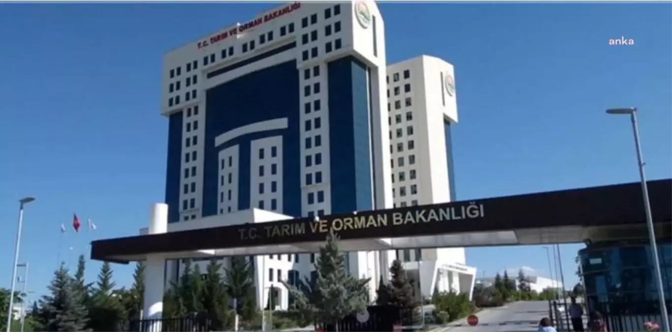 Tarım ve Orman Bakanlığı 1 Milyar 602 Milyon Liralık Destek Ödemesinin Bugün Başladığını Duyurdu