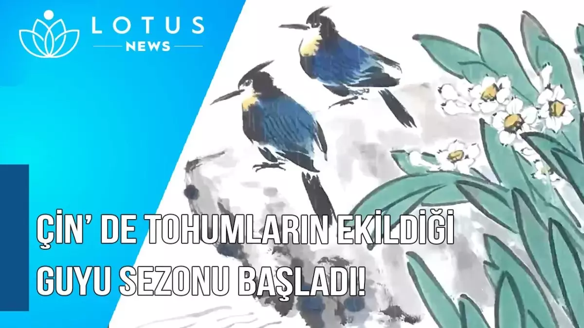 Video: Çin\'de Tohumların Ekildiği Guyu Sezonu Başladı