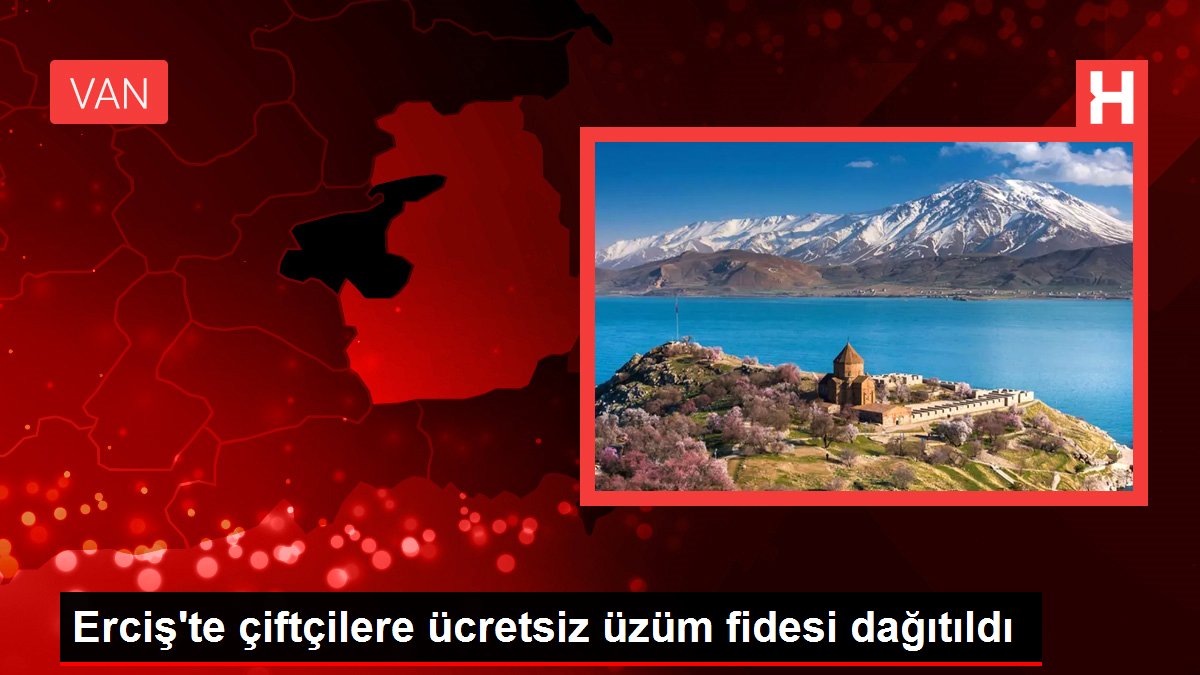 Erciş'te çiftçilere ücretsiz üzüm fidesi dağıtıldı