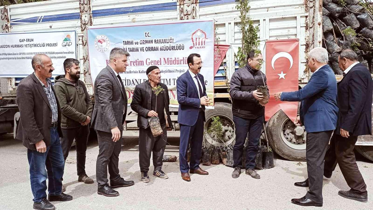 Siirt\'te bin 700 dekar üzerine \'Siirt fıstığı\' ve \'Trabzon hurması\' dikimi yapılacak