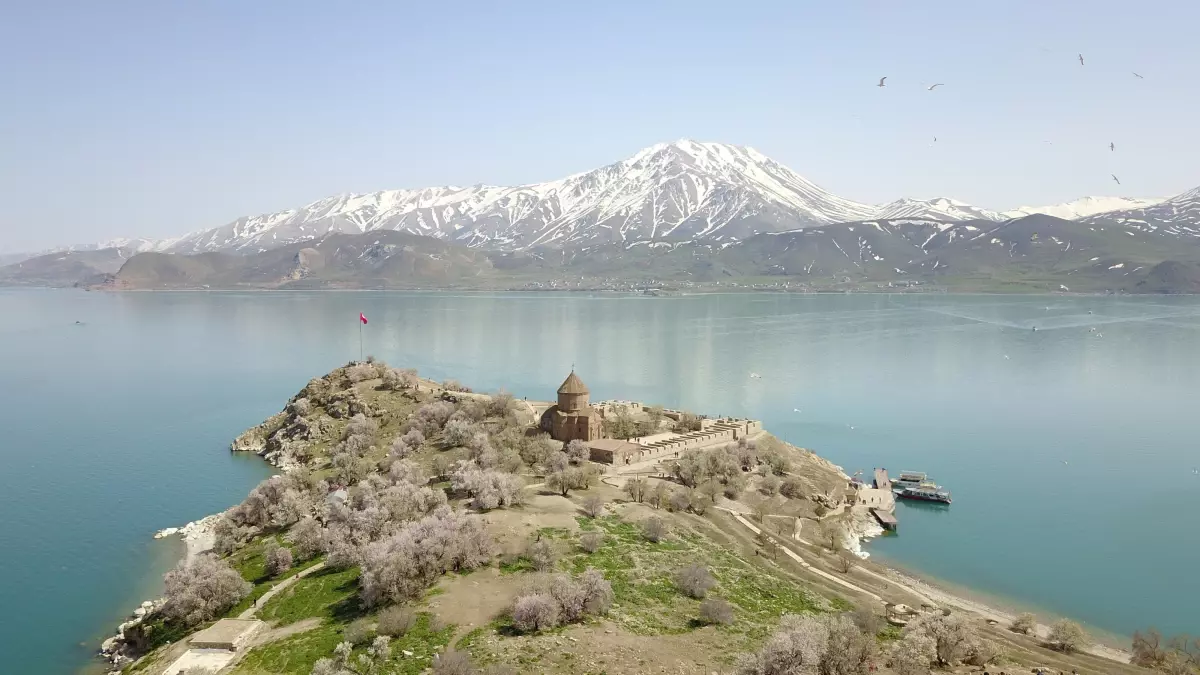 Akdamar Adası badem ağaçlarının çiçekleriyle renklendi