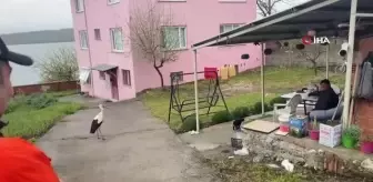 Ata Demirer Yaren leyleği elleriyle besledi