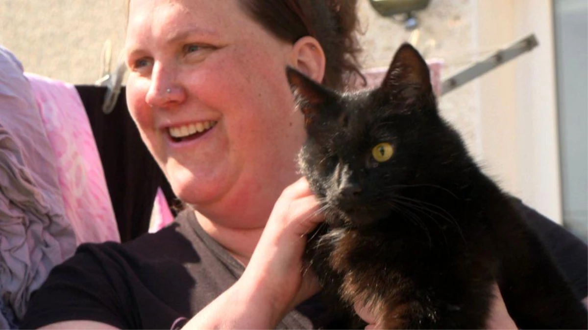 Beş yıl önce kaybolan kedi Kuzey Denizi\'nde ortaya çıktı