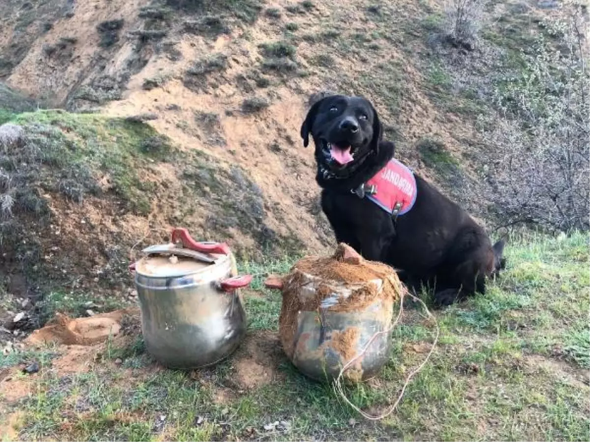 Bingöl\'de düdüklü tencerelere yerleştirilmiş EYP bulundu