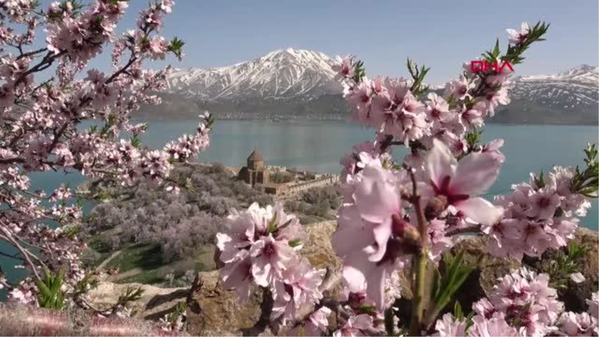 ÇİÇEKLERLE KAPLANAN AKDAMAR ADASI\'NA FOTOĞRAFÇI AKINI