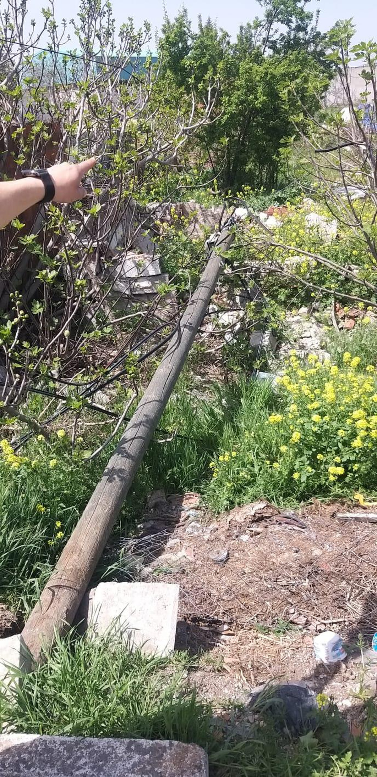 Manisa\'da kablo hırsızlığı iddiasıyla yakalanan 3 şüpheliden 1\'i tutuklandı
