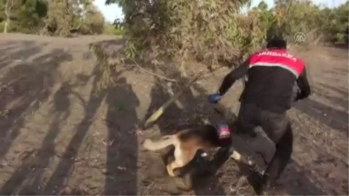 Miras yüzünden çıkan kavgada bir kişi ölü