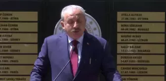 Şentop: '(HDP'li Paylan'ın kanun teklifi) Türkiye'de böyle bir kanun teklifini verebilmek Türkiye dışından bir cesaretin desteğiyle olabilir'