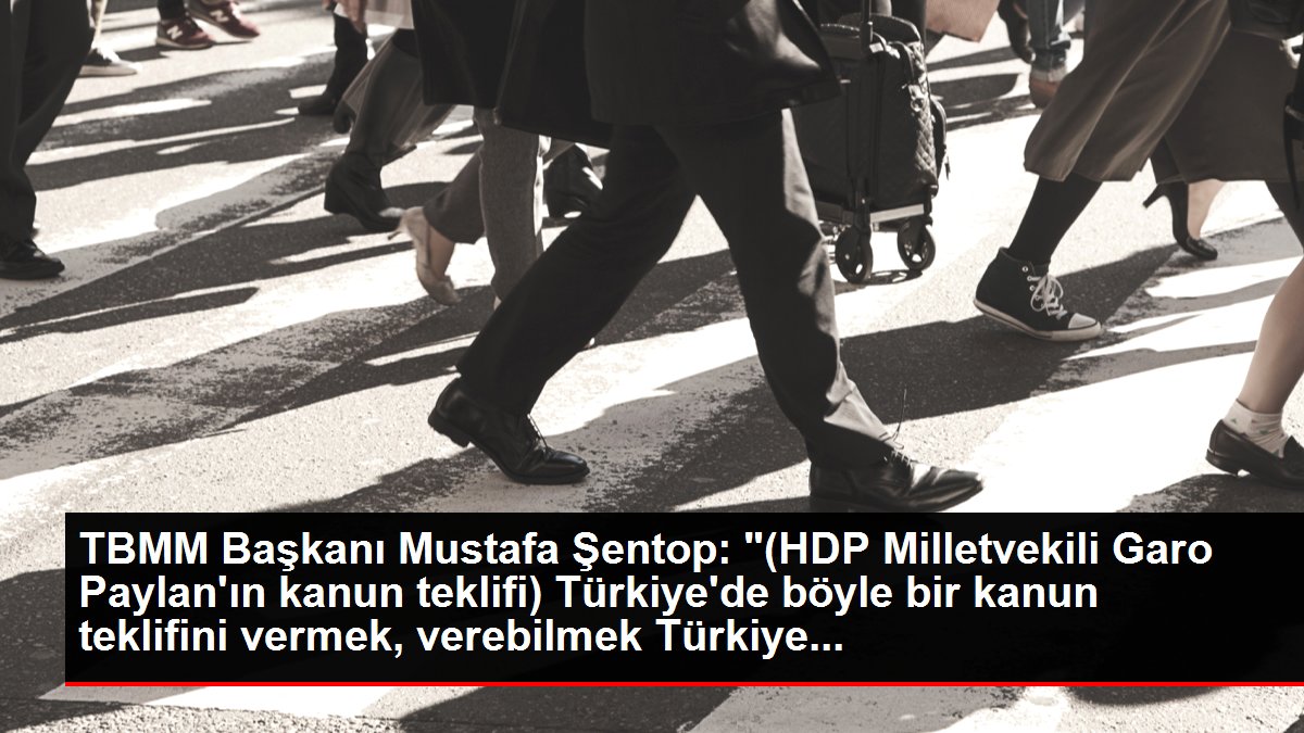 TBMM Başkanı Mustafa Şentop: '(HDP Milletvekili Garo Paylan'ın kanun teklifi) Türkiye'de böyle bir kanun teklifini vermek, verebilmek Türkiye...