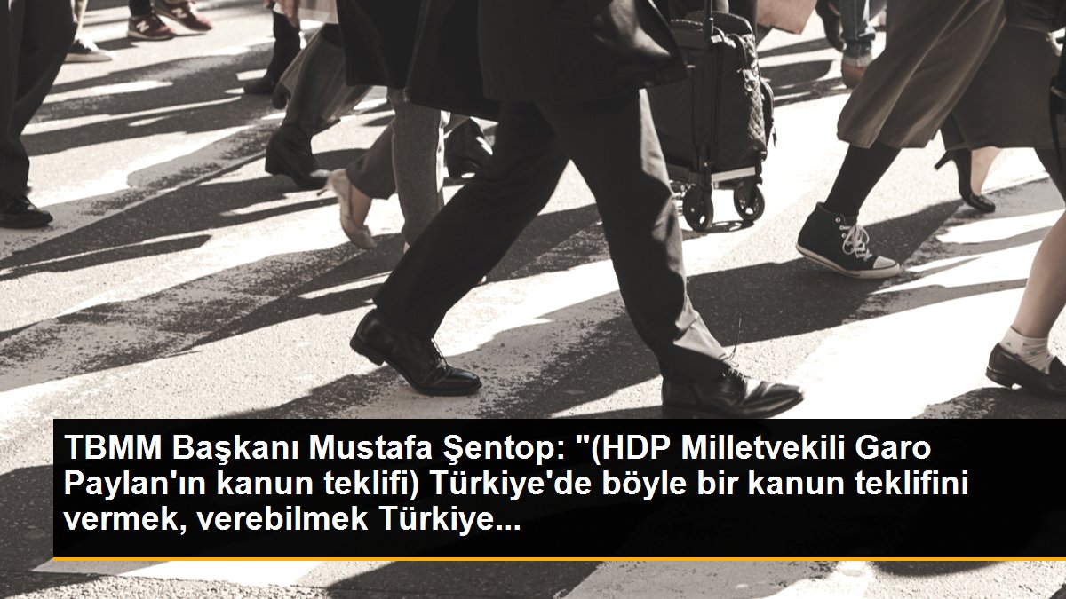 TBMM Başkanı Mustafa Şentop: "(HDP Milletvekili Garo Paylan\'ın kanun teklifi) Türkiye\'de böyle bir kanun teklifini vermek, verebilmek Türkiye...