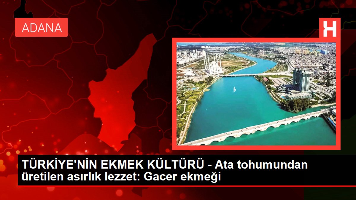 TÜRKİYE'NİN EKMEK KÜLTÜRÜ - Ata tohumundan üretilen asırlık lezzet: Gacer ekmeği