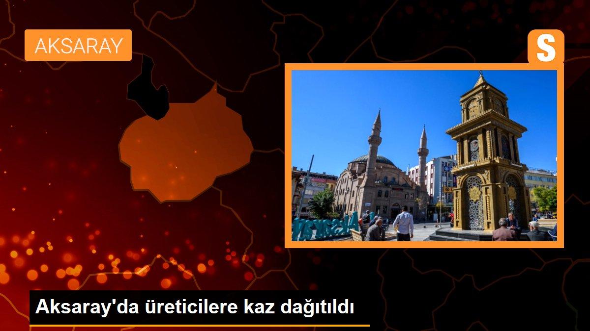 Aksaray\'da üreticilere kaz dağıtıldı