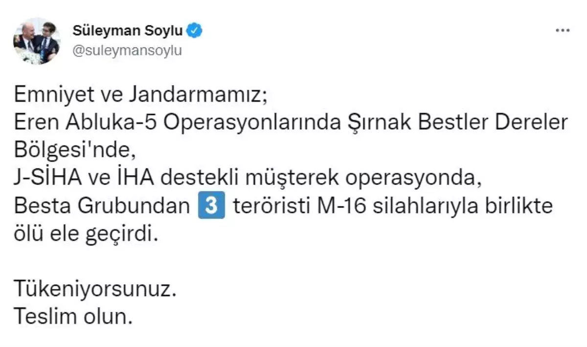 Bakan Soylu duyurdu: "Besta Grubundan 3 terörist silahlarıyla birlikte ölü ele geçirildi"