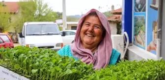 Buca Belediyesi'nden Üreticiye 100 Bin Sebze Fidesi