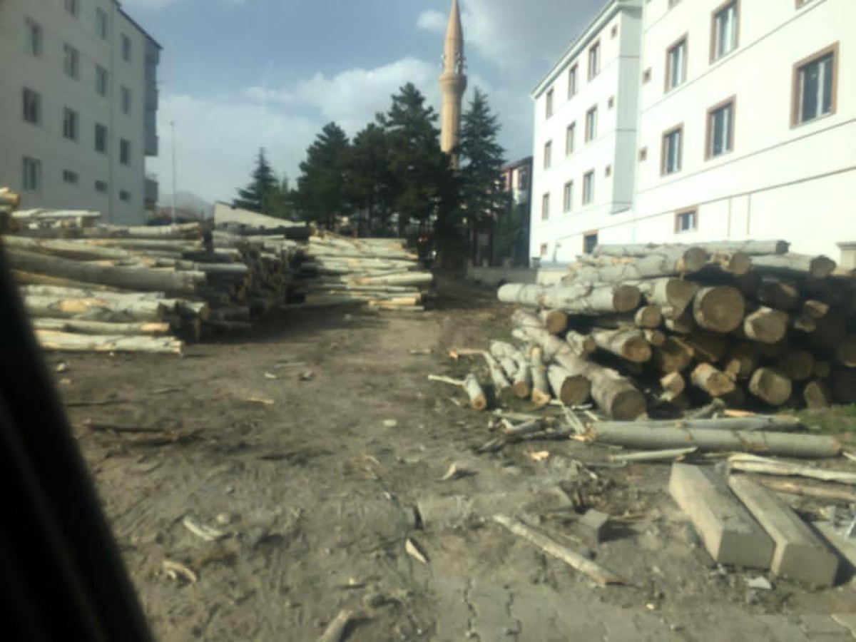 Çocuk Bayramı\'nda üzerine ağaç düşen çocuk hayatını kaybetti