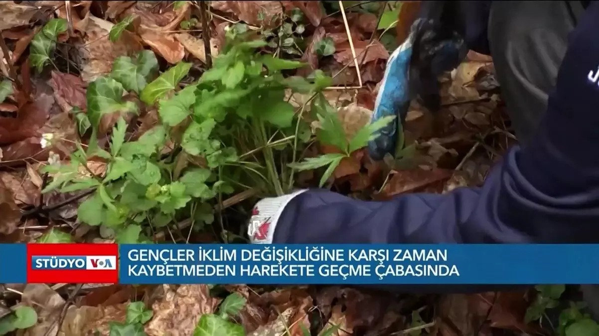 Gençler İklim Değişikliğinden Endişeli