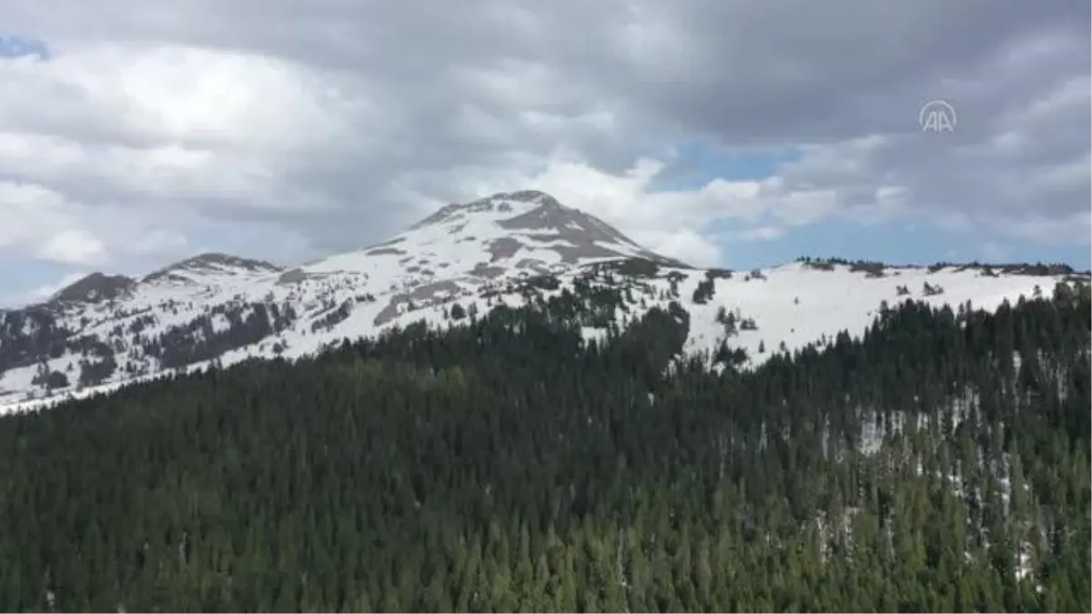 KASTAMONU - Ilgaz\'ın yüksek kesimlerindeki kar dron ile görüntülendi