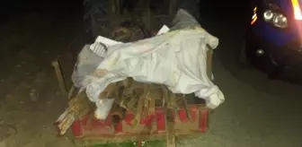 Manisa'da üzüm bağlarından 750 kilogram demir çalan 2 kişi yakalandı