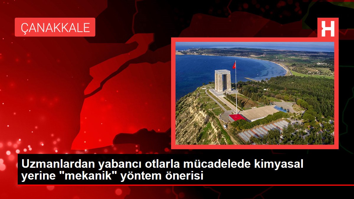 Uzmanlardan yabancı otlarla mücadelede kimyasal yerine 'mekanik' yöntem önerisi