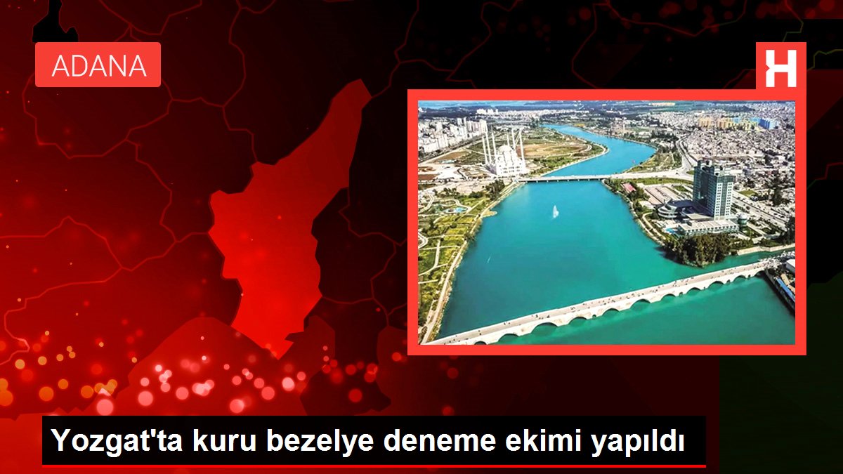 Yozgat'ta kuru bezelye deneme ekimi yapıldı