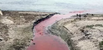 Kamara Deresi'ni kirleten tesis 'deşarj' standartlarını aşmış