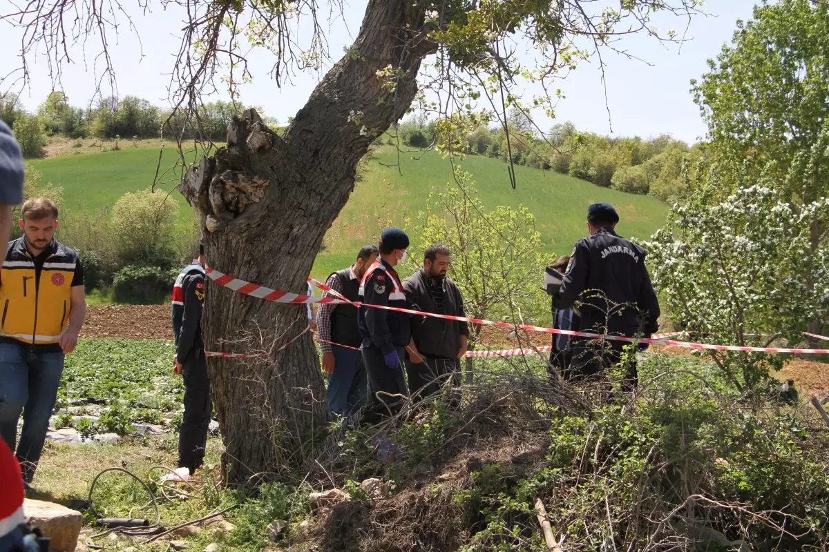 Son dakika haber | Manisa\'da elektrik akımına kapılan çiftçi öldü