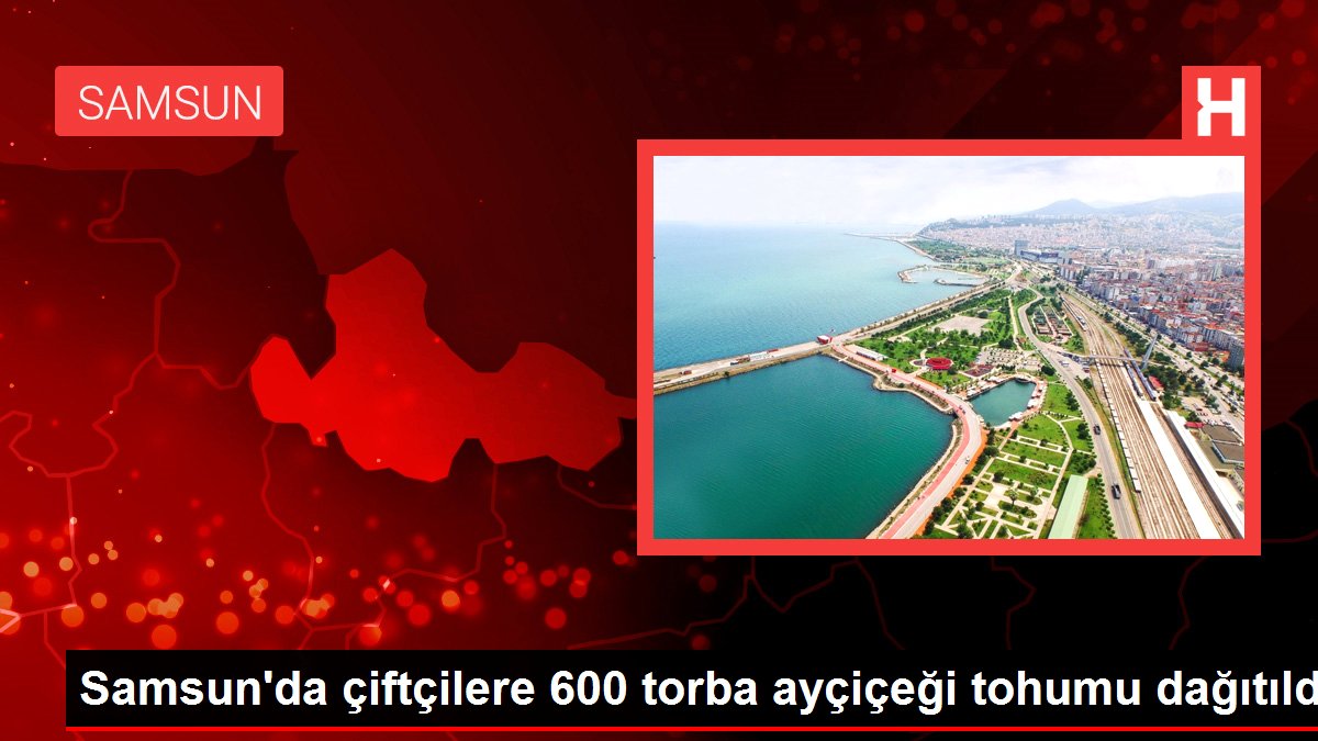 Samsun'da çiftçilere 600 torba ayçiçeği tohumu dağıtıldı