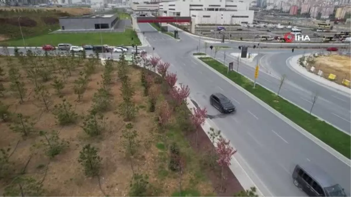 Şehir Hastanesi'nin çiçek açan sakuraları böyle görüntülendi