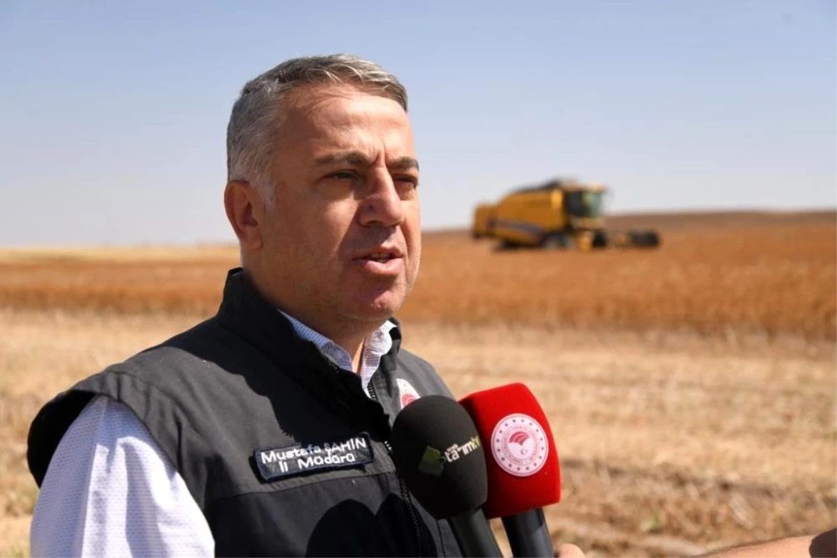 Tarım ve Orman İl Müdürü Şahin: "Kayseri\'deki çiftçiye 18 yılda 2 milyar TL destek sağlandı"