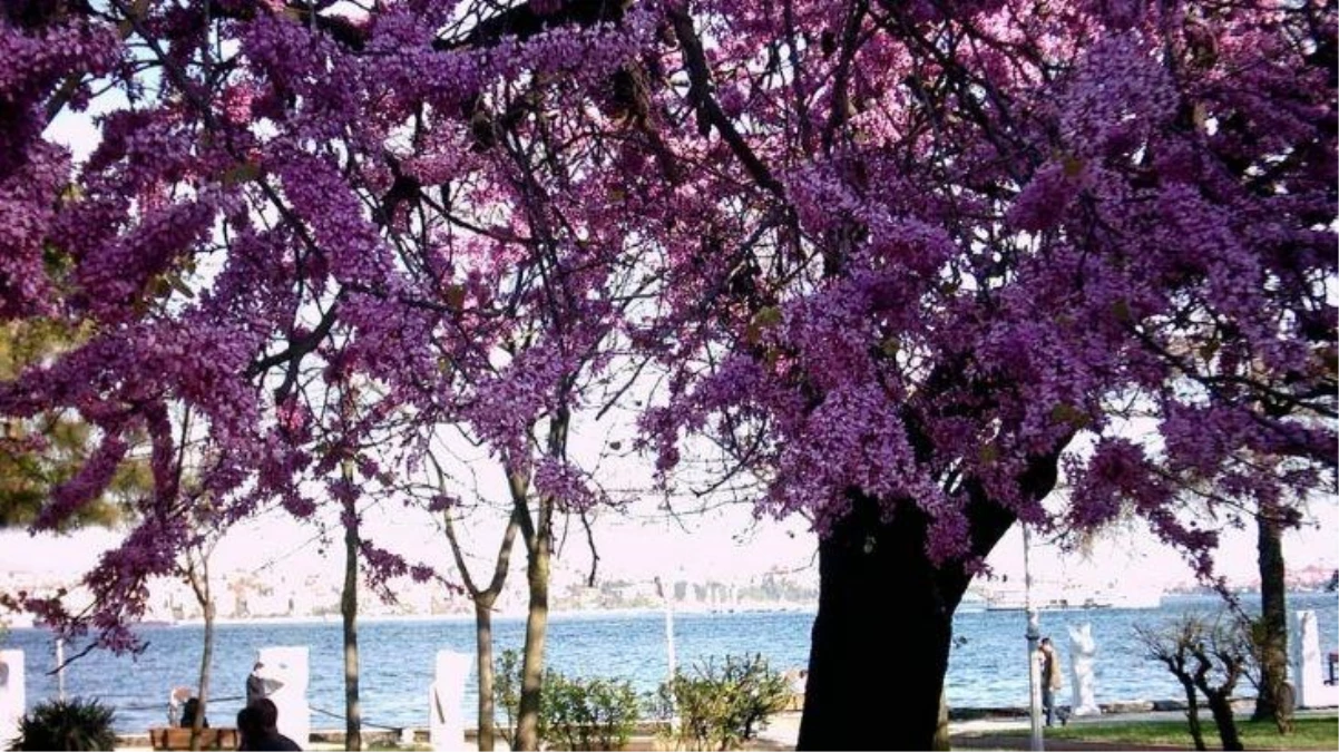 27 Nisan Çarşamba günü hava nasıl olacak?