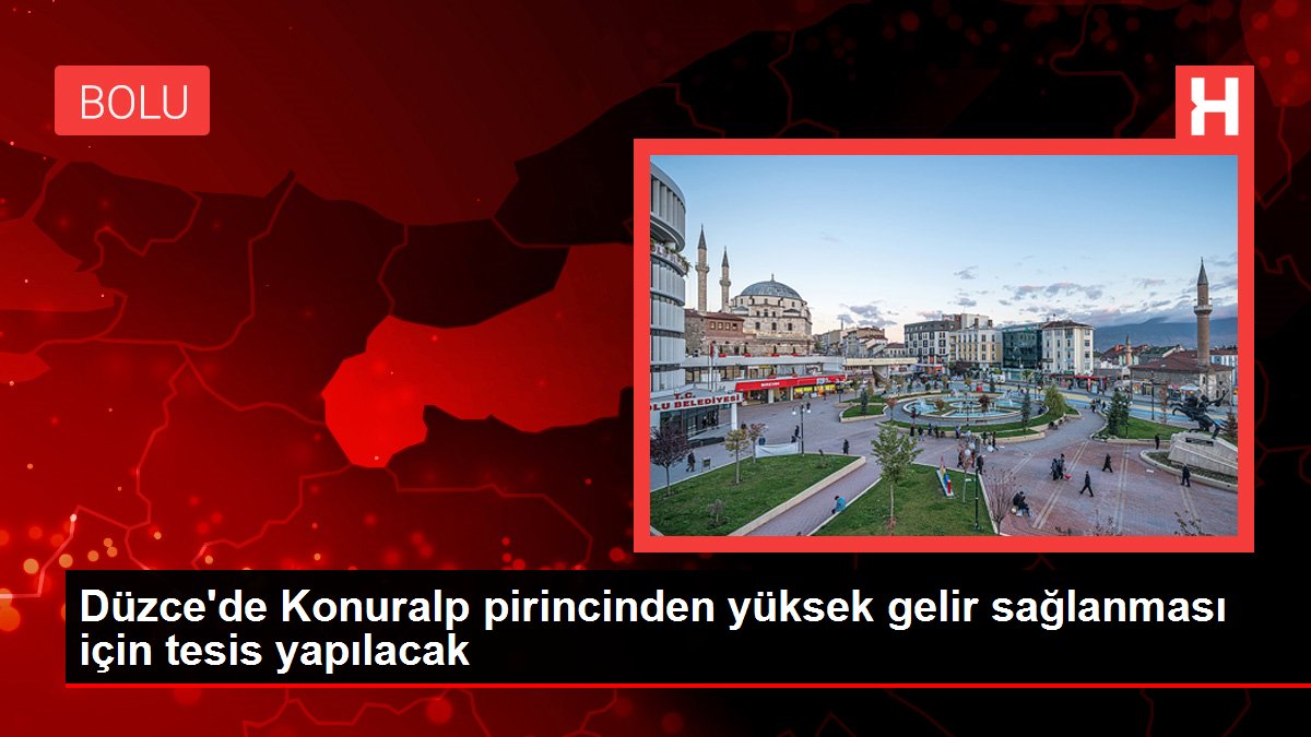 Düzce'de Konuralp pirincinden yüksek gelir sağlanması için tesis yapılacak