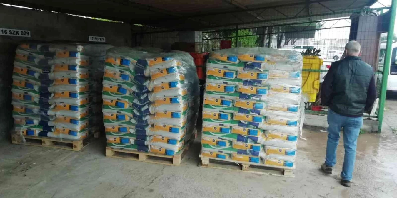 Kastamonu\'da üreticilere 27 ton çeltik tohumu dağıtıldı