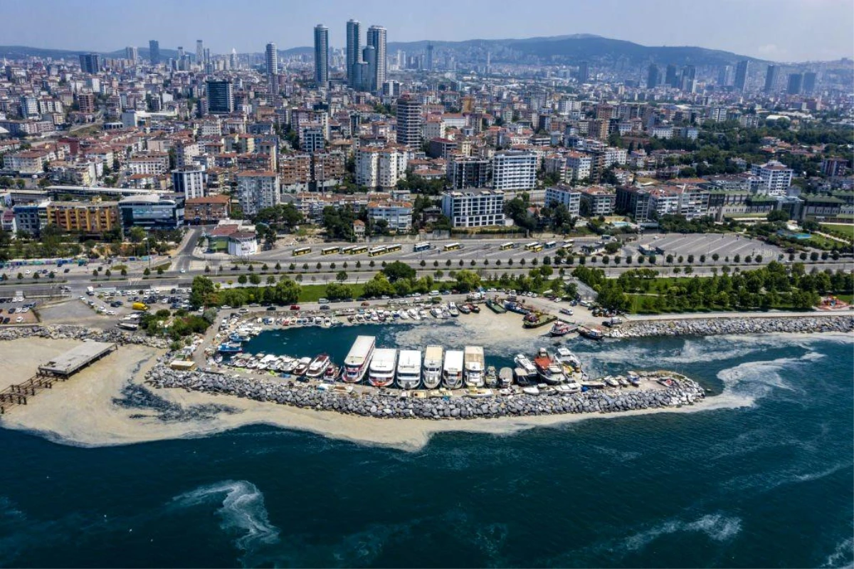 Marmara Denizi: Müsilaj Araştırma Komisyonu ne diyor? Çözüm nerede düğümleniyor?