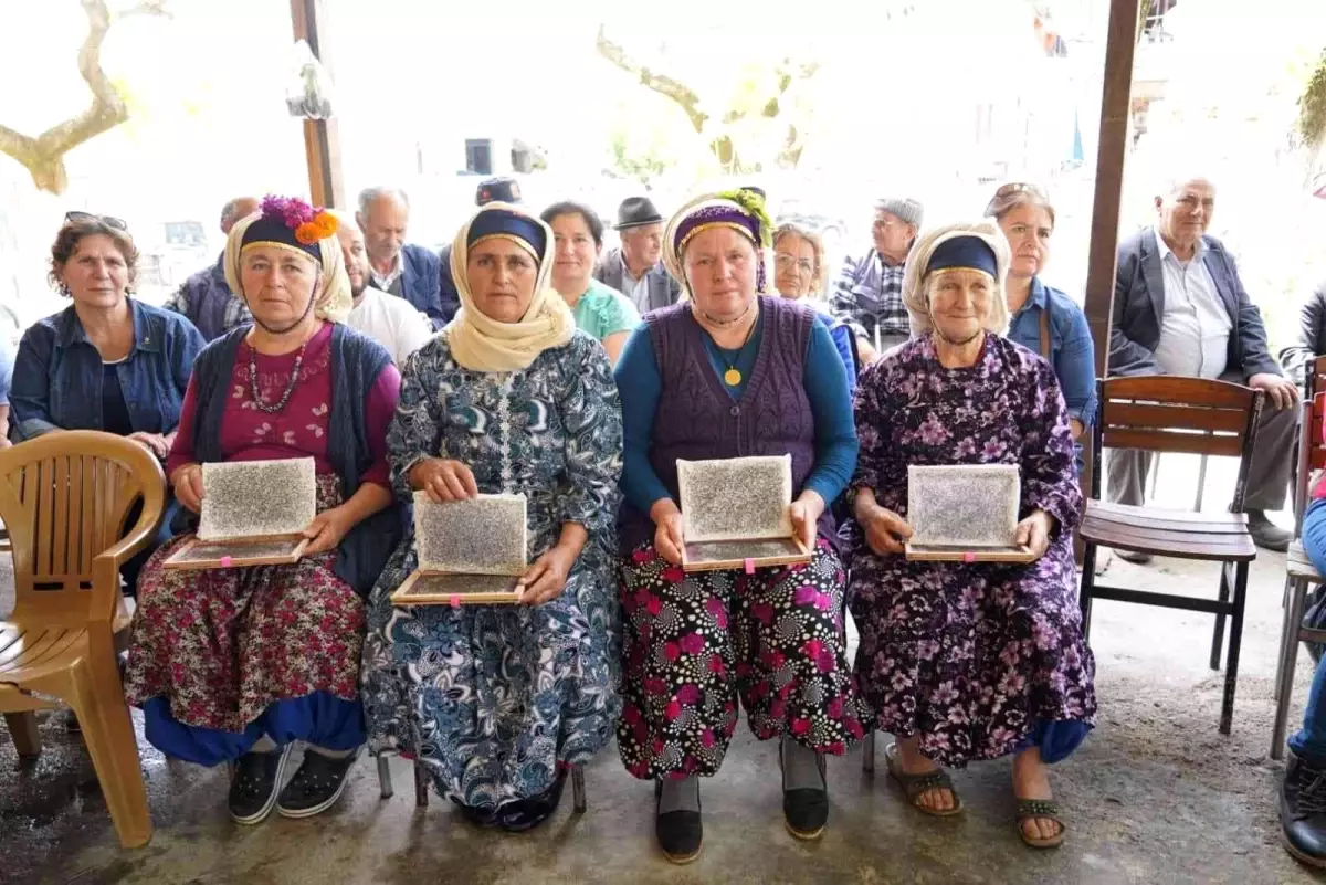 Milas'ta kırsalda yaşayan vatandaşlara ipek böceği larvası ve halı ipi dağıtıldı