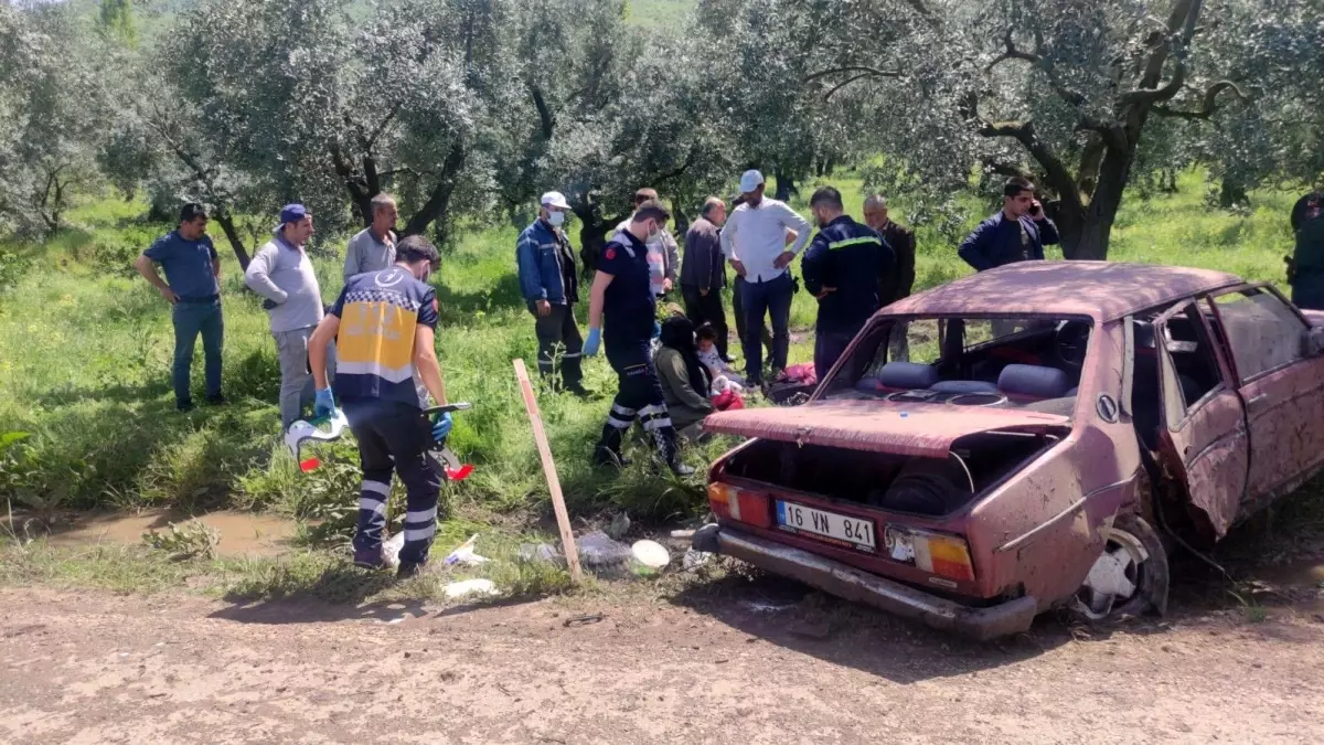 Otomobil zeytinliğe daldı, 2\'si çocuk 4 kişi yaralandı