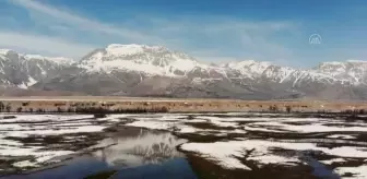 Ovacık'ta baharın tüm renk paleti tek kadrajda