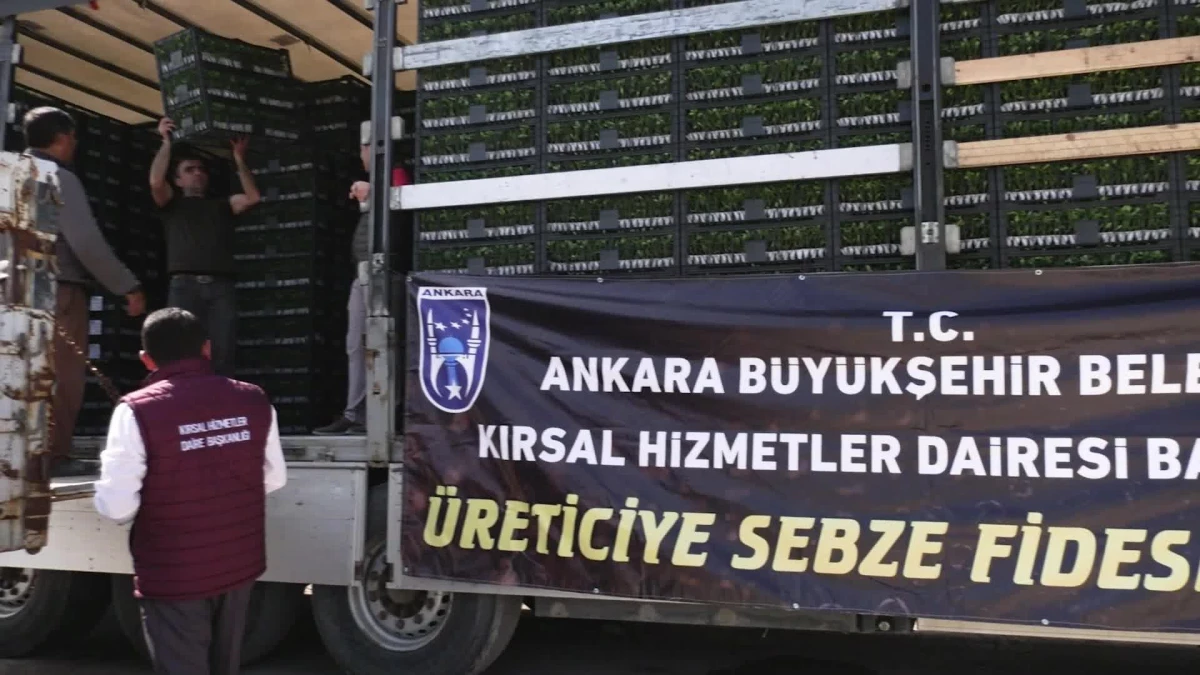 Ankara Büyükşehir\'den Başkentli Üreticiye Sebze Fidesi Desteği