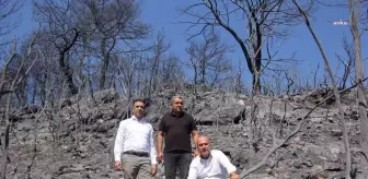 CHP'li Murat Bakan: 'Orman Yangınlarıyla Mücadele Tüm Yıl Sürmeli'