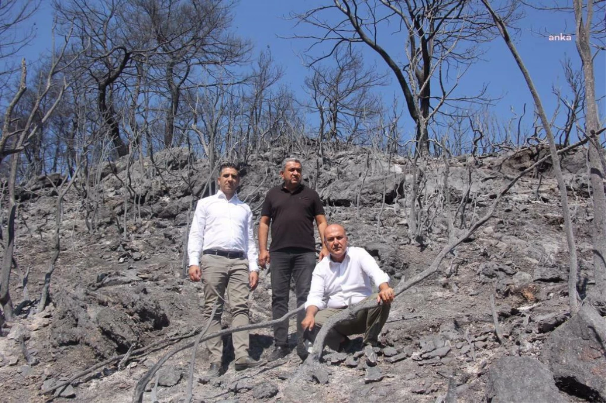 CHP\'li Murat Bakan: "Orman Yangınlarıyla Mücadele Tüm Yıl Sürmeli"