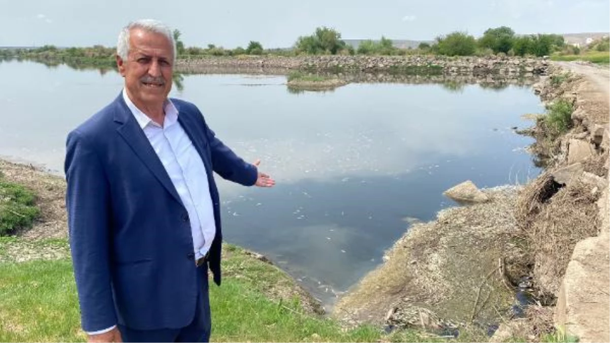 DİCLE NEHRİ\'NDE BALIK ÖLÜMLERİNE İNCELEME