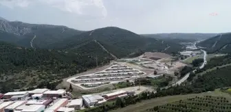 İzmir'de Pako Sokak Hayvanları Sosyal Yaşam Kampüsü Hizmete Giriyor