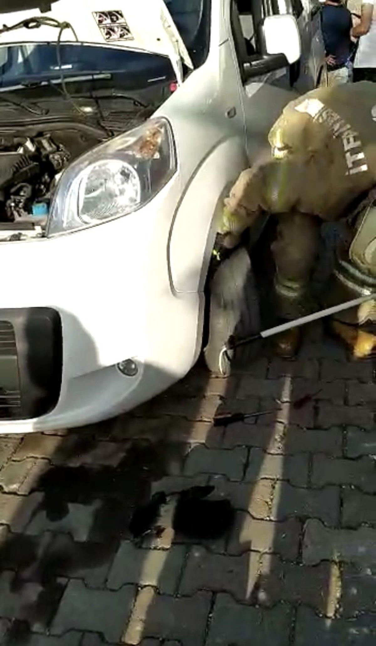 Kartal\'da araç motoruna sıkışan kediyi kurtarma operasyonu kamerada