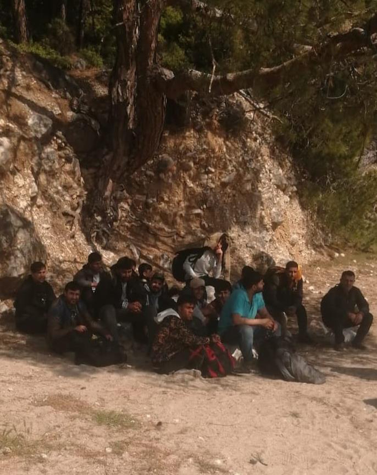 Muğla\'da ormanlık alanda 17 düzensiz göçmen yakalandı