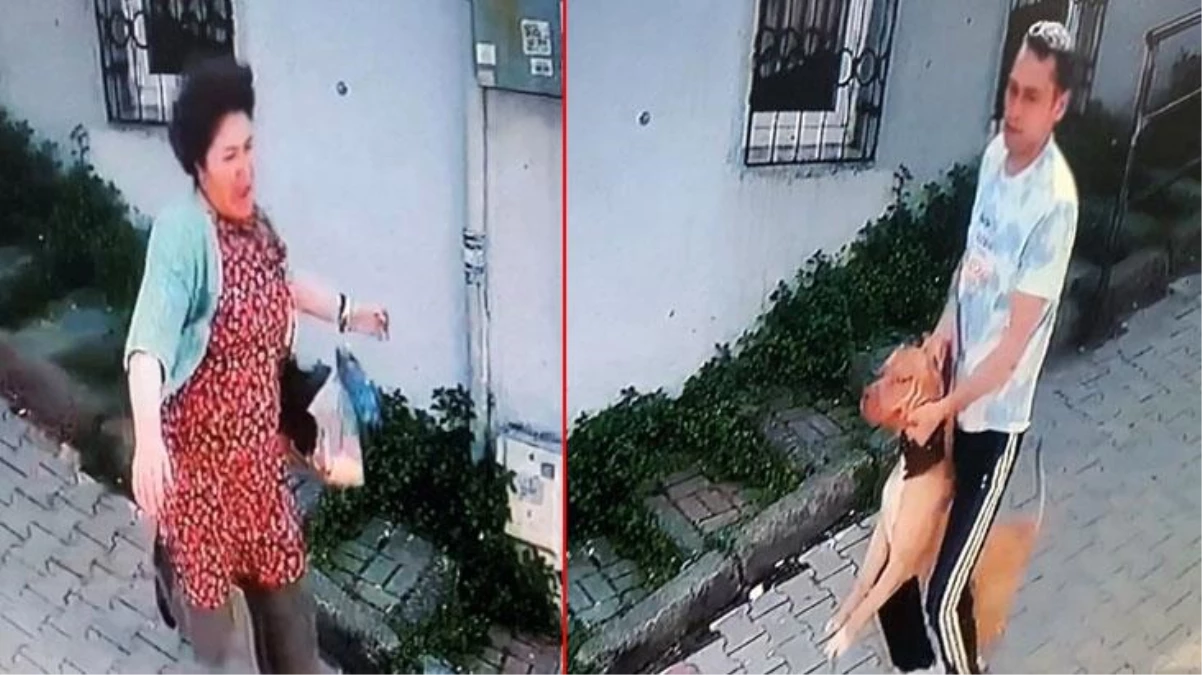 Kağıthane\'de pitbull saldırısı! Köpeğini parka götüren kadının korku dolu anları saniye saniye kamerada